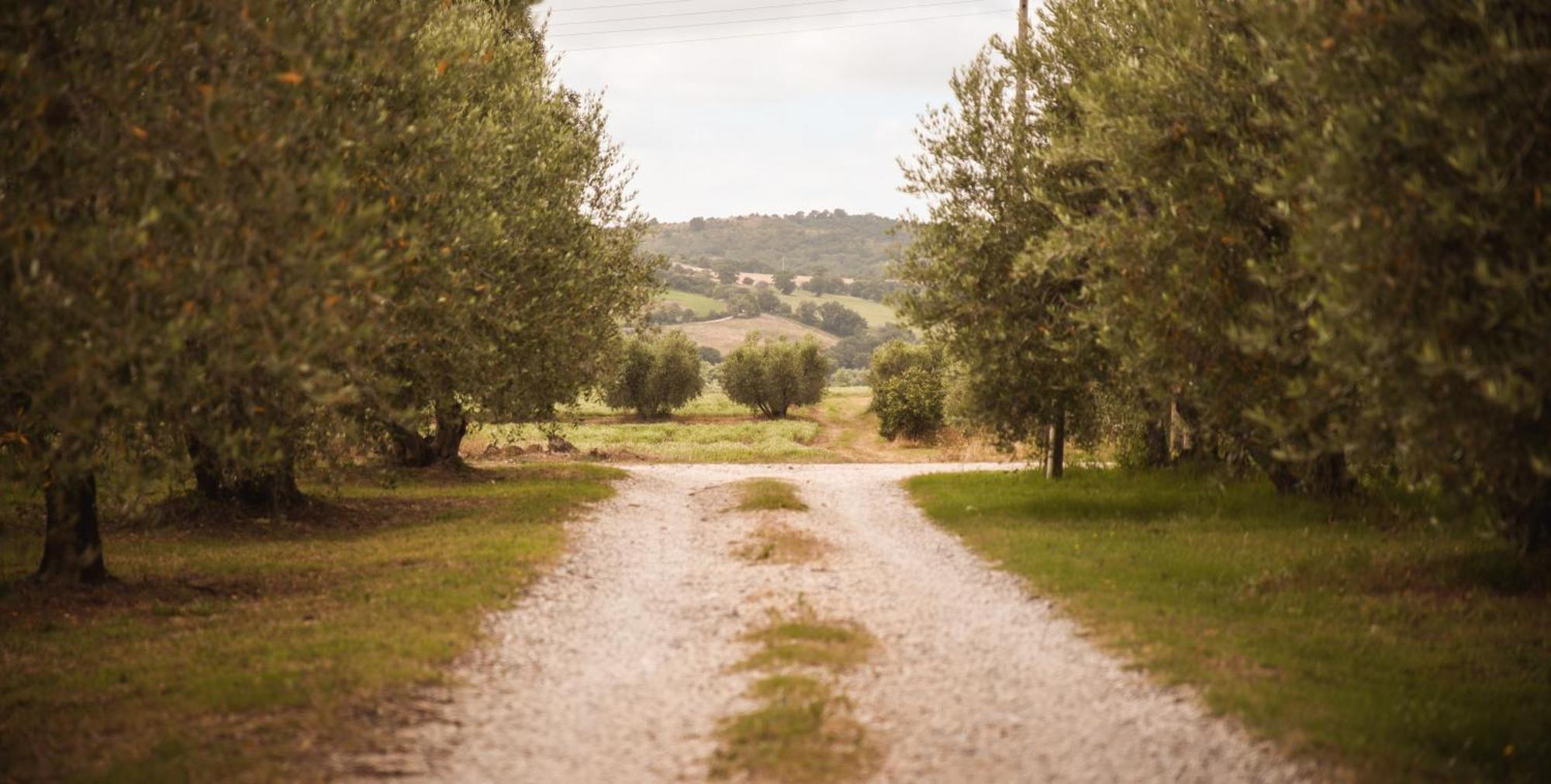 Agriturismo Poggio Alle Calle 사투르니아 외부 사진