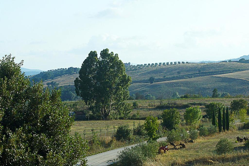 Agriturismo Poggio Alle Calle 사투르니아 외부 사진